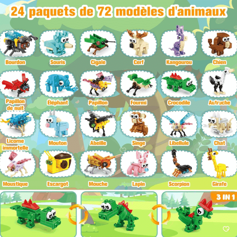 Building Block Insectes