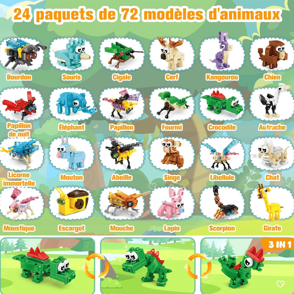 Building Block Insectes